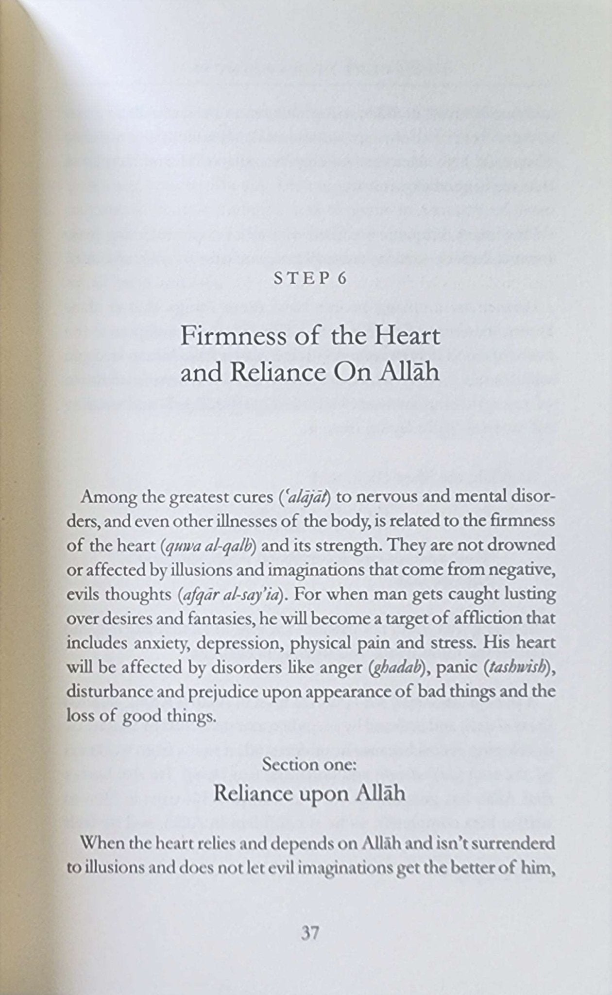 8 Steps to Happiness (Awakening the Inner Self in Pursuit of Personal Change) by Shaykh Abu Abdu - r - Rahman Nasir As - Sa'di - The Islamic Book Cafe LLC