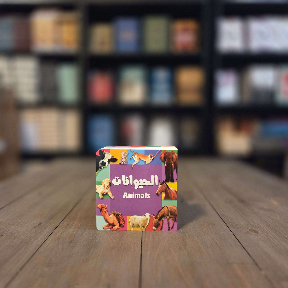 My First Bilingual Arabic-English Library (Set of 6 board books)